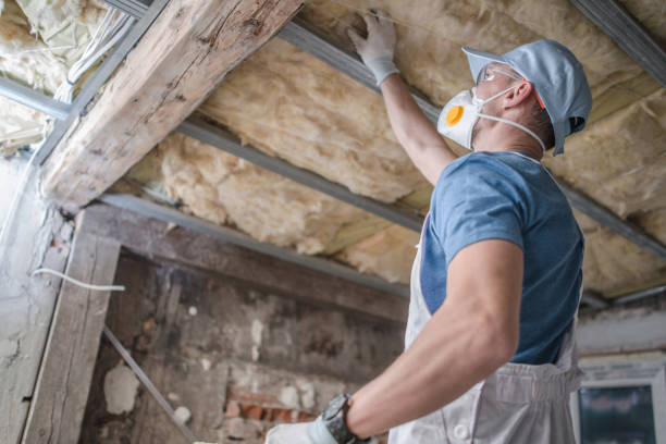 Best Geographic-Specific Insulation Services in Mowbray Mountain, TN