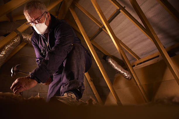 Best Insulation Maintenance and Repair in Mowbray Mountain, TN